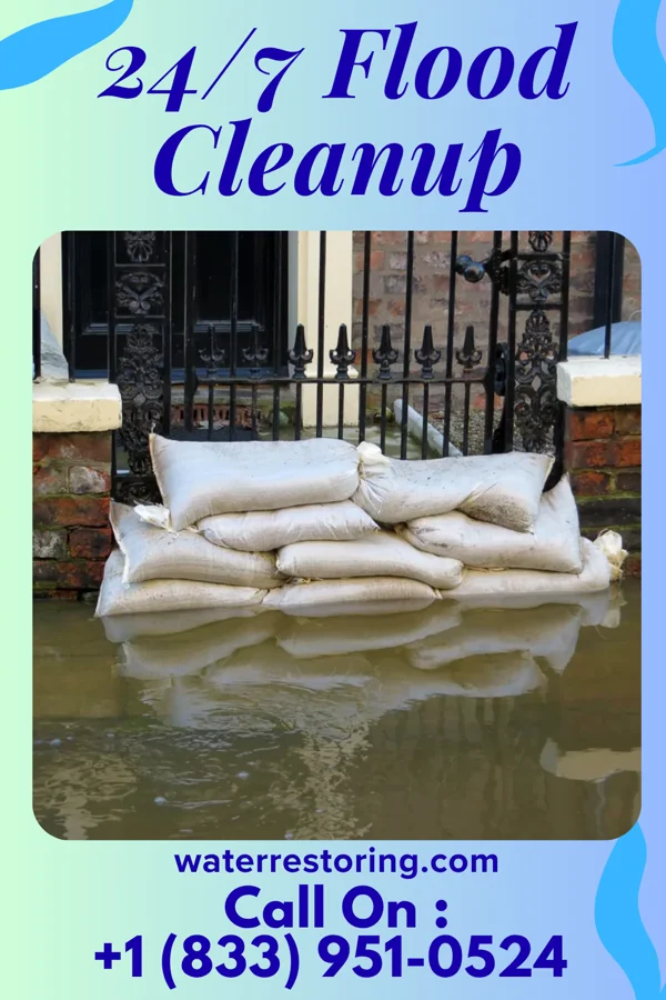 24/7 Flood Cleanup in Town of Pines, IN
