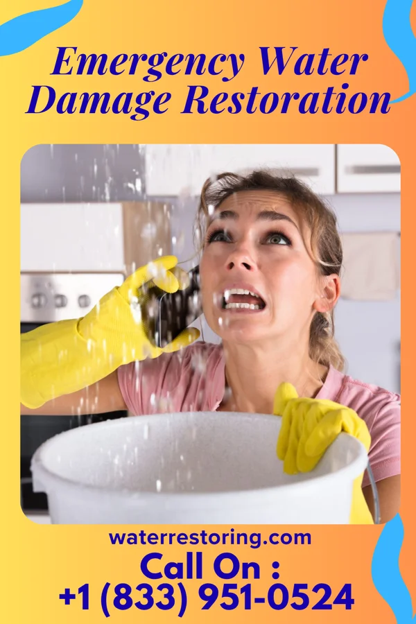 Emergency Water Damage Restoration in Town of Pines, IN