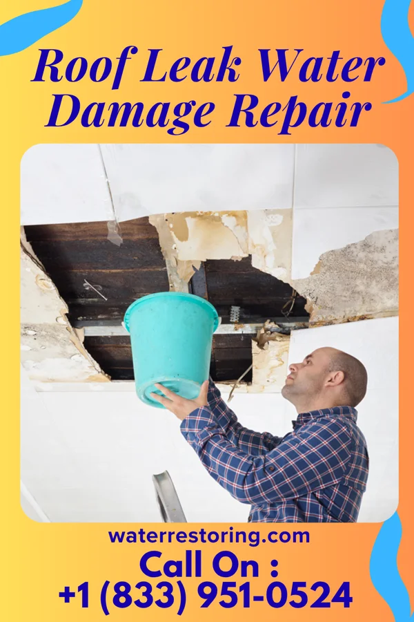 Roof Leak Water Damage Repair in Town of Pines, IN