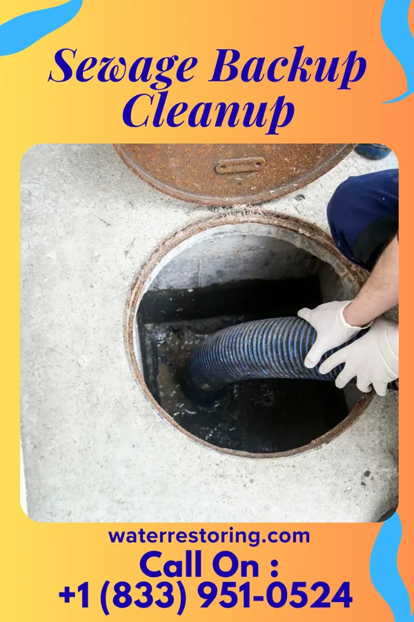 Sewage Backup Cleanup in Town of Pines, IN